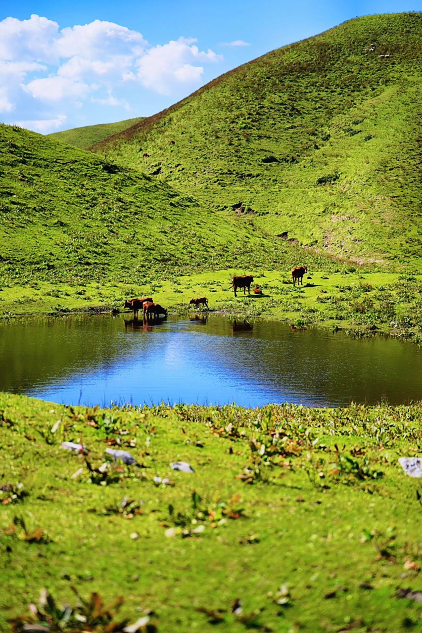 云南保山风景天花板 来自云南保山老营旧寨的天池,海拔三千多米,纯