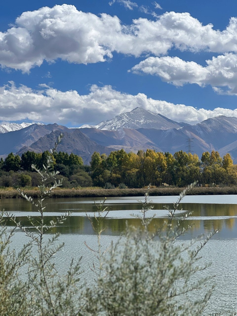 拉鲁湿地半日游 11月拉鲁湿地公园就不再对外开放了 再想进去徒步