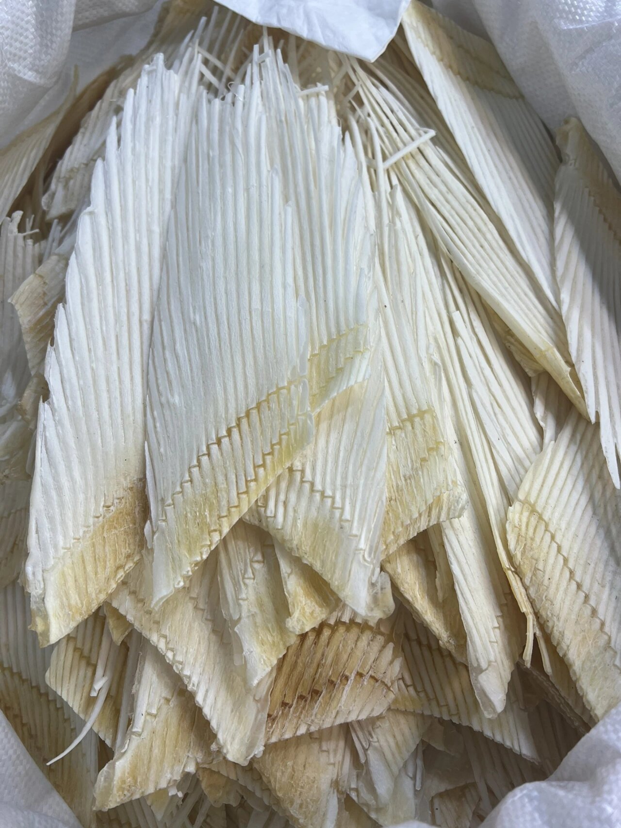 特大鲨鱼翅骨  鱼翅骨 足干88一斤 10斤起批 煲汤特别的鲜.