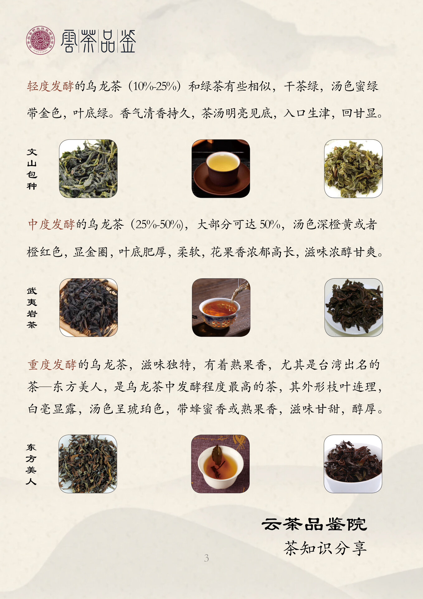 青茶的功效与作用图片