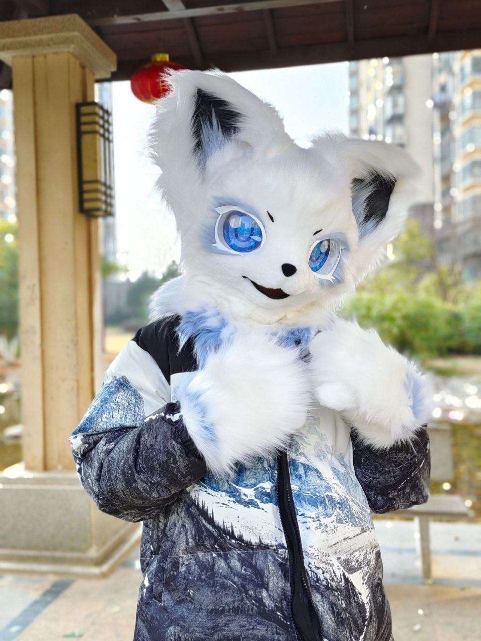 可爱的福瑞控壁纸!一只来自雪山的小狐狸! 嘿嘿!