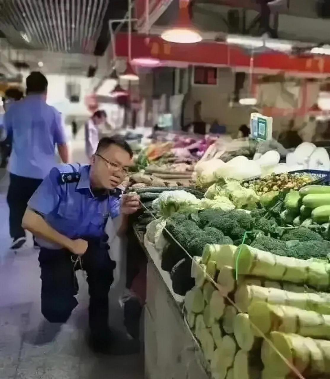 搞工程就要精益求精,一丝不苟! 菜篮子工程也是工程. 不得不说, 专业