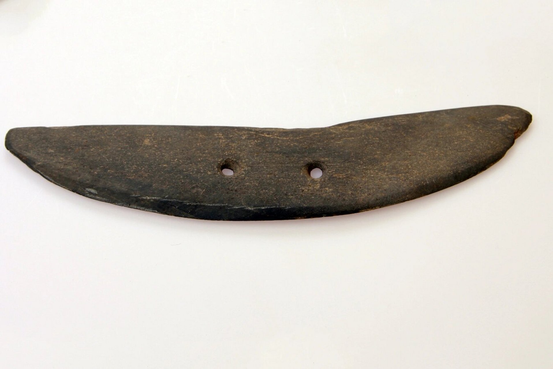 考古学认器型|石,蚌刀 7415人类社会早期使用的生产工具,大都是以