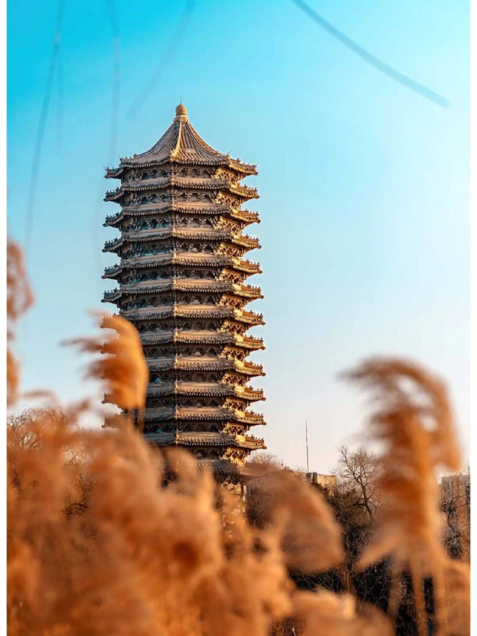 北大博雅塔未名湖 还是挺好看的