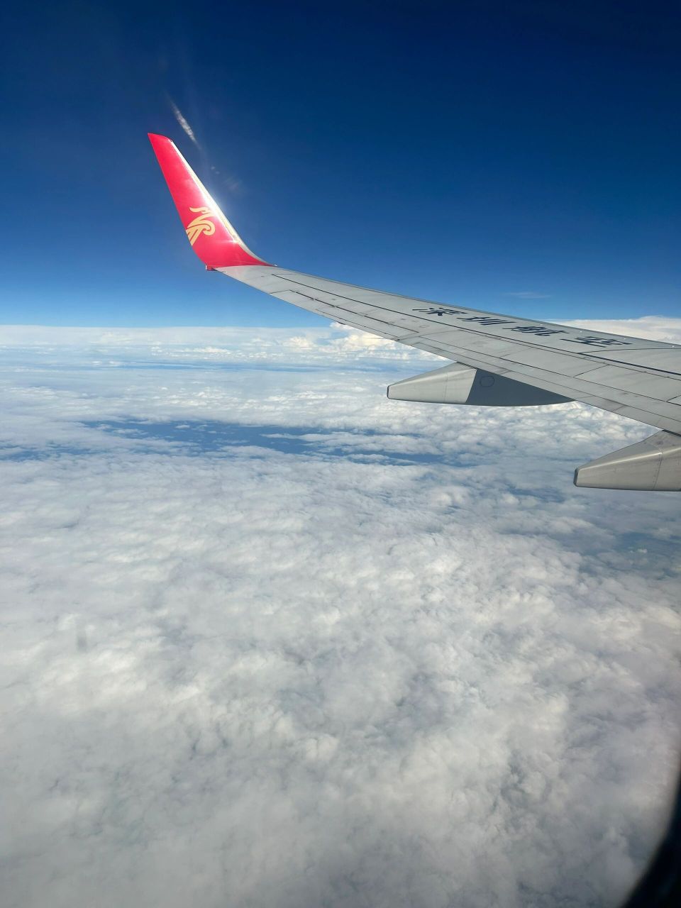 深圳航空波音737-800,选座位参考 娃第一次坐飞机,想坐窗边有全窗视野