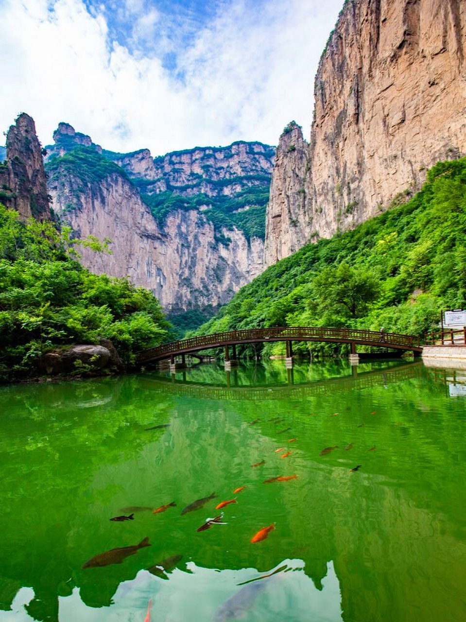 通天峡大酒店几星图片