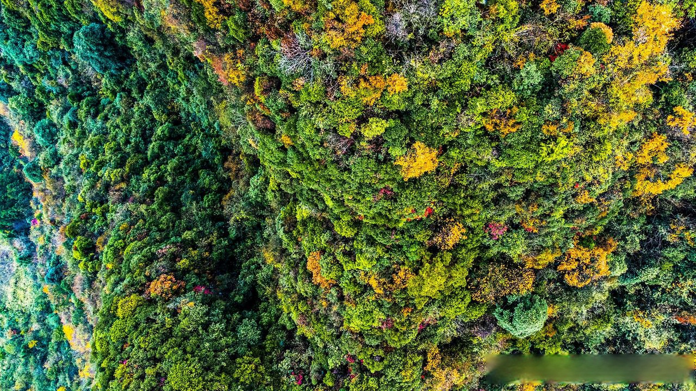 恩施金峰禅寺,隐藏在大山深处200年,风景居然如此美丽.