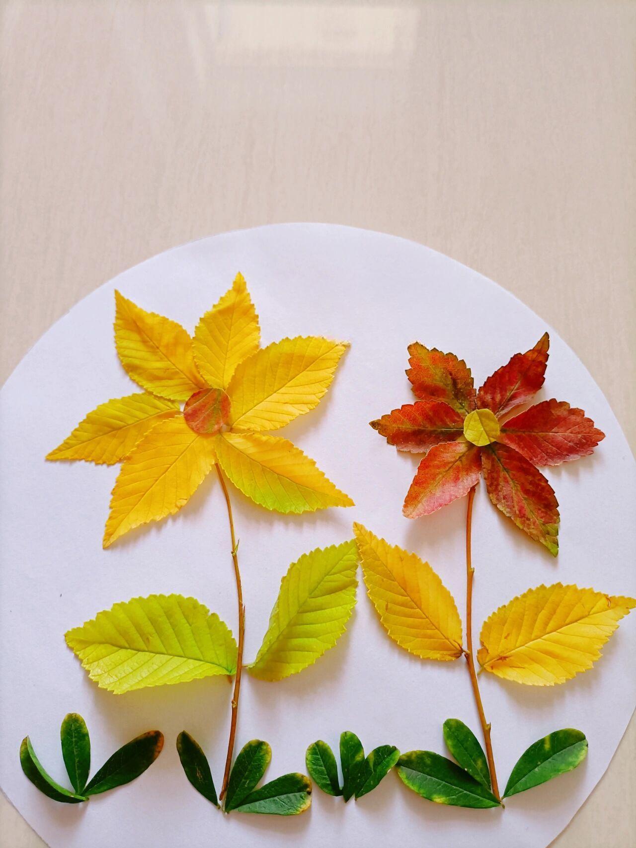 树叶贴画
