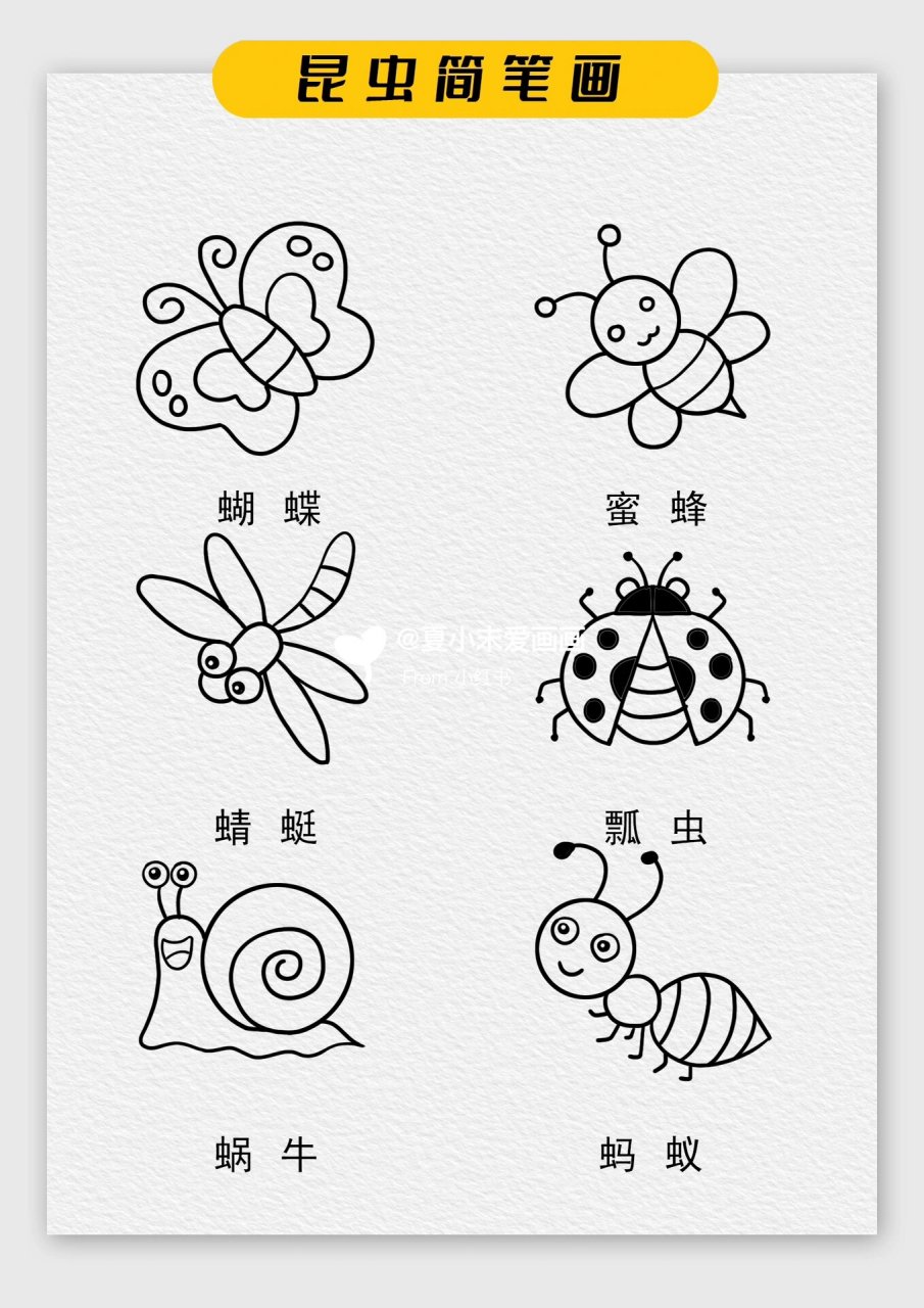 昆虫简笔画