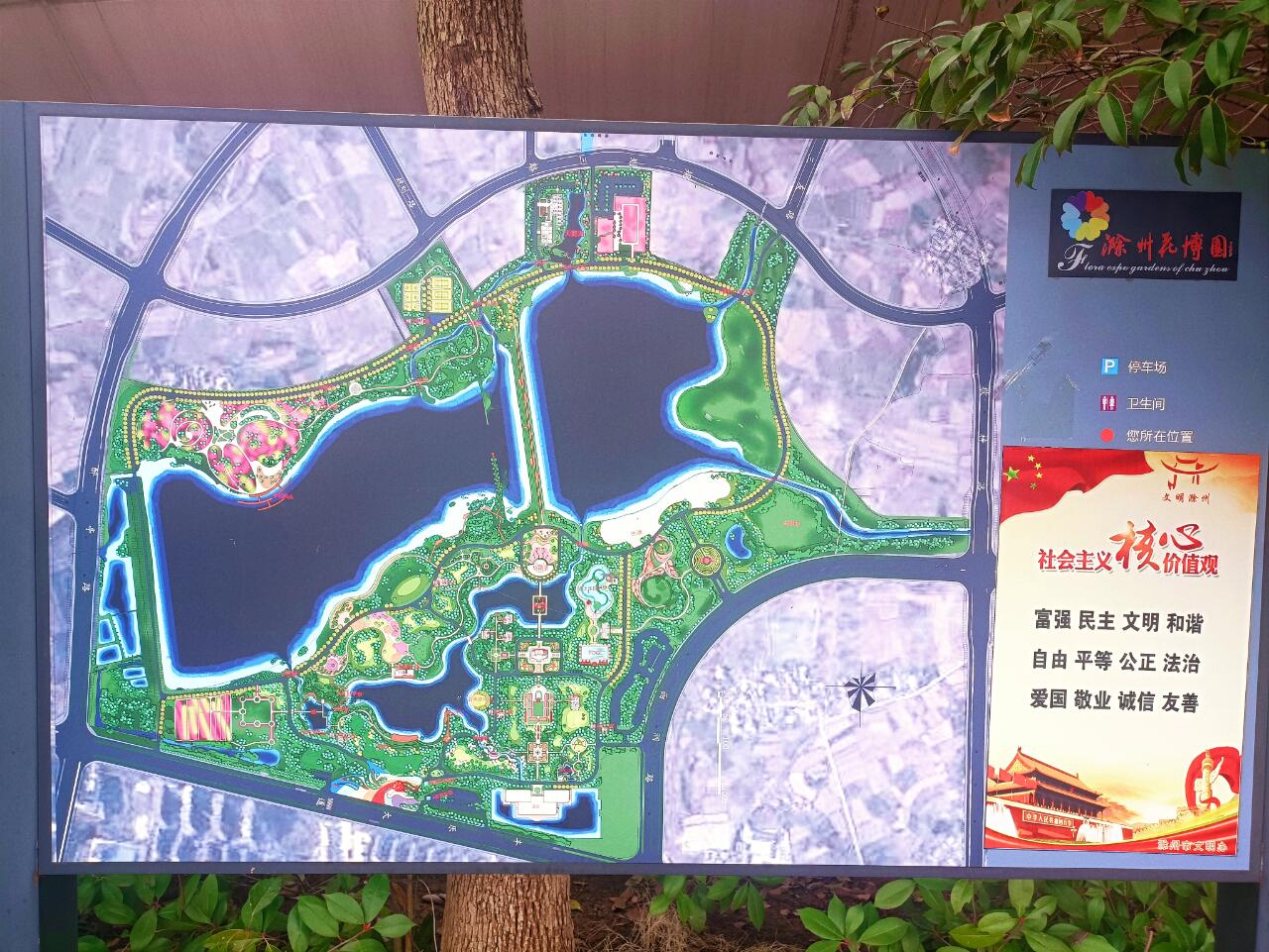 即将7岁的滁州花博园,和我想象的不太一样