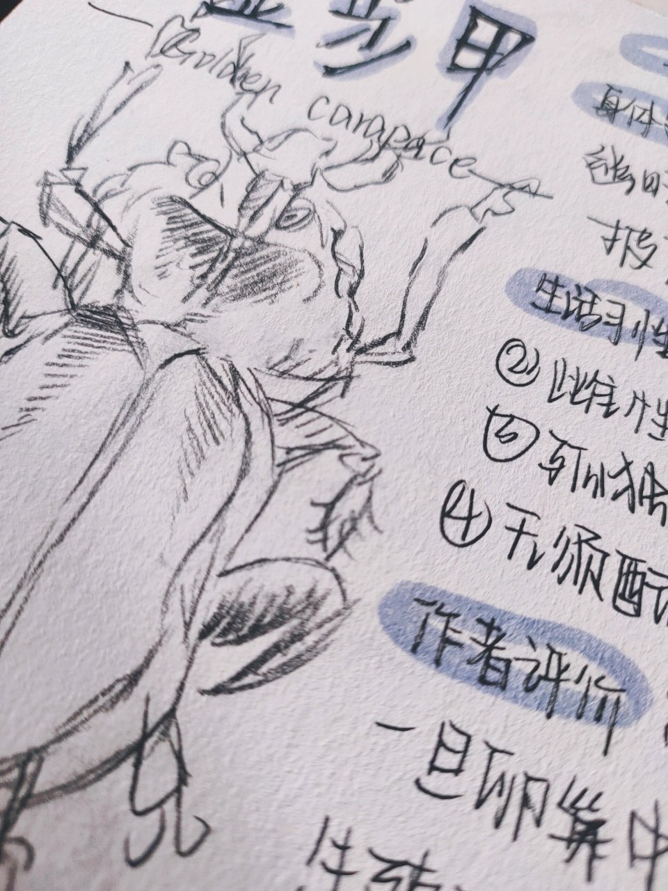 《昆虫记》--金步甲 原作