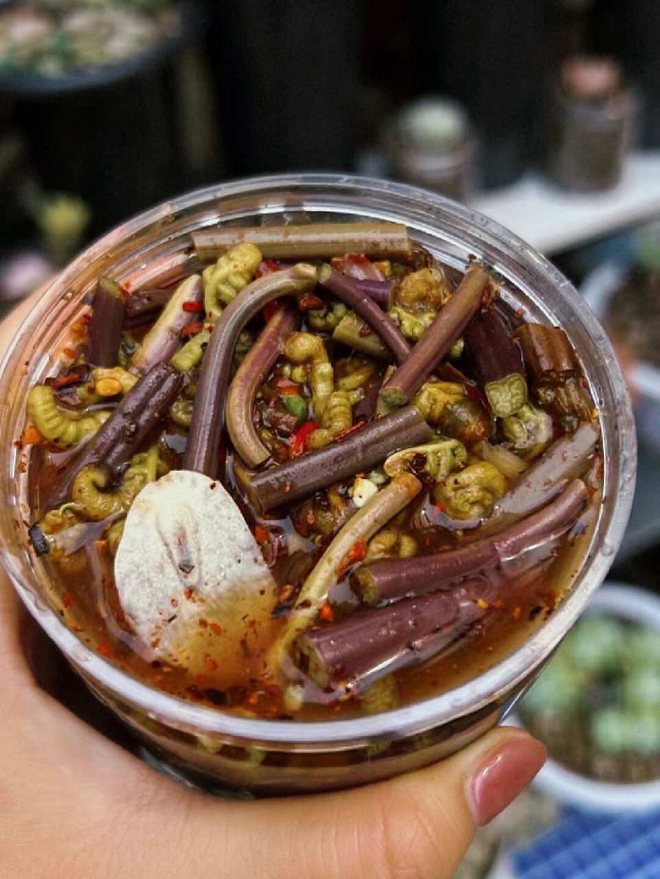 夏天到了,又到了吃蕨菜的季节啦,蕨菜太多啦,为了让自己年底也能吃到