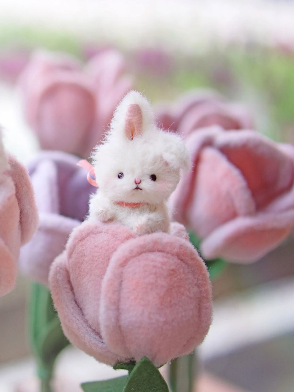粉色郁金香小兔兔 抓住春天的尾巴 绽放出最可爱的兔兔