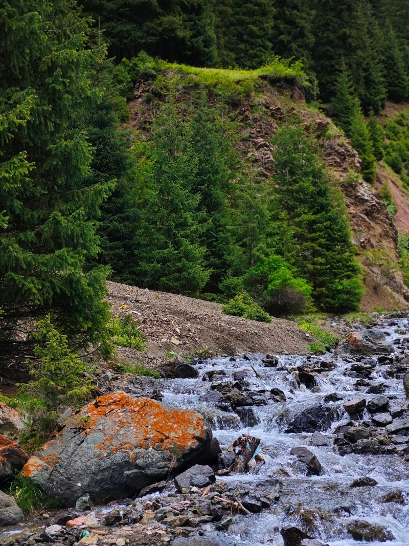 氧吧"东大塘深呼吸吧】东大塘旅游风景区位于塔城地区沙湾市东湾镇,是
