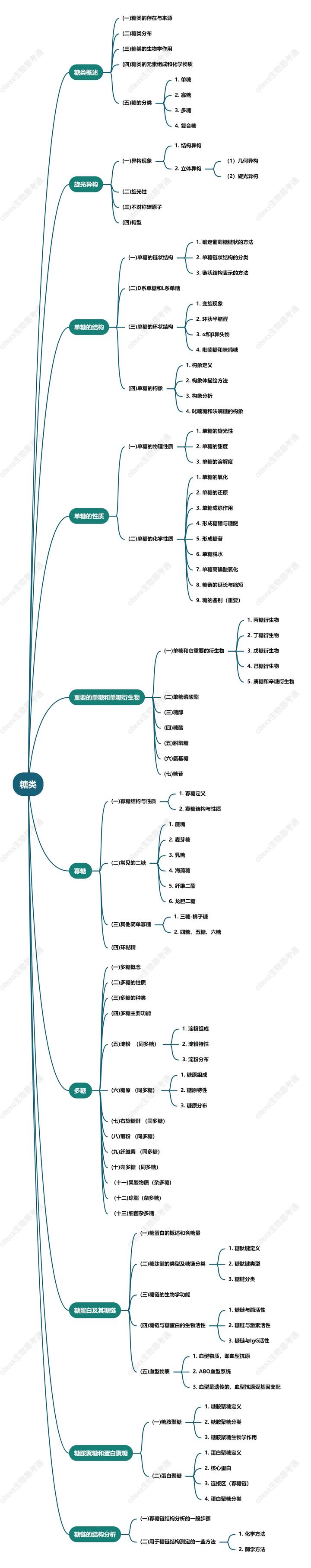 糖类的思维导图图片