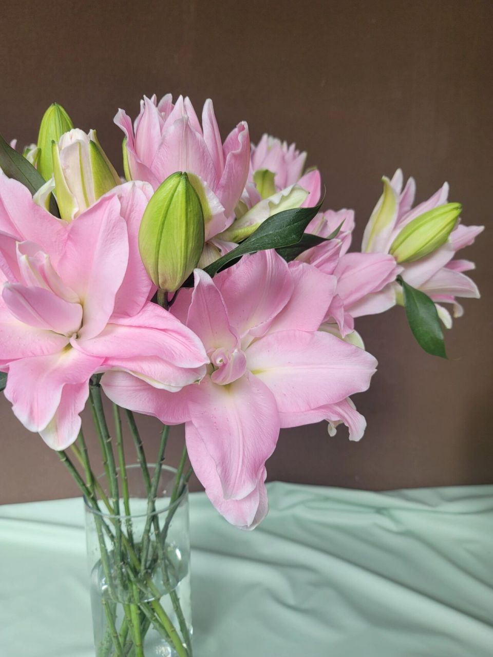 蜜糖水晶重瓣百合来咯～ 拍的时候只有不停词穷地感叹太美了!