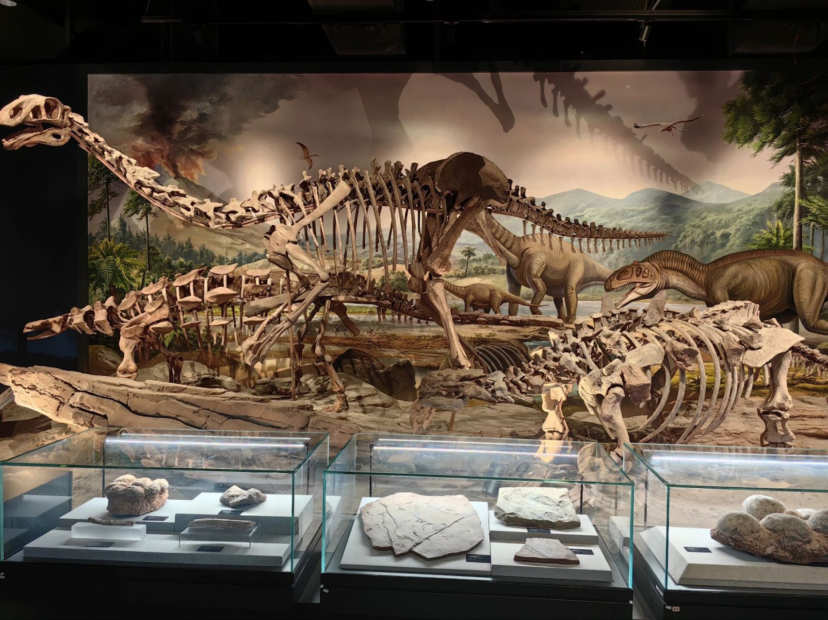 浙江省地质博物馆游玩攻略96 古老的化石09 神奇的矿物96 美丽