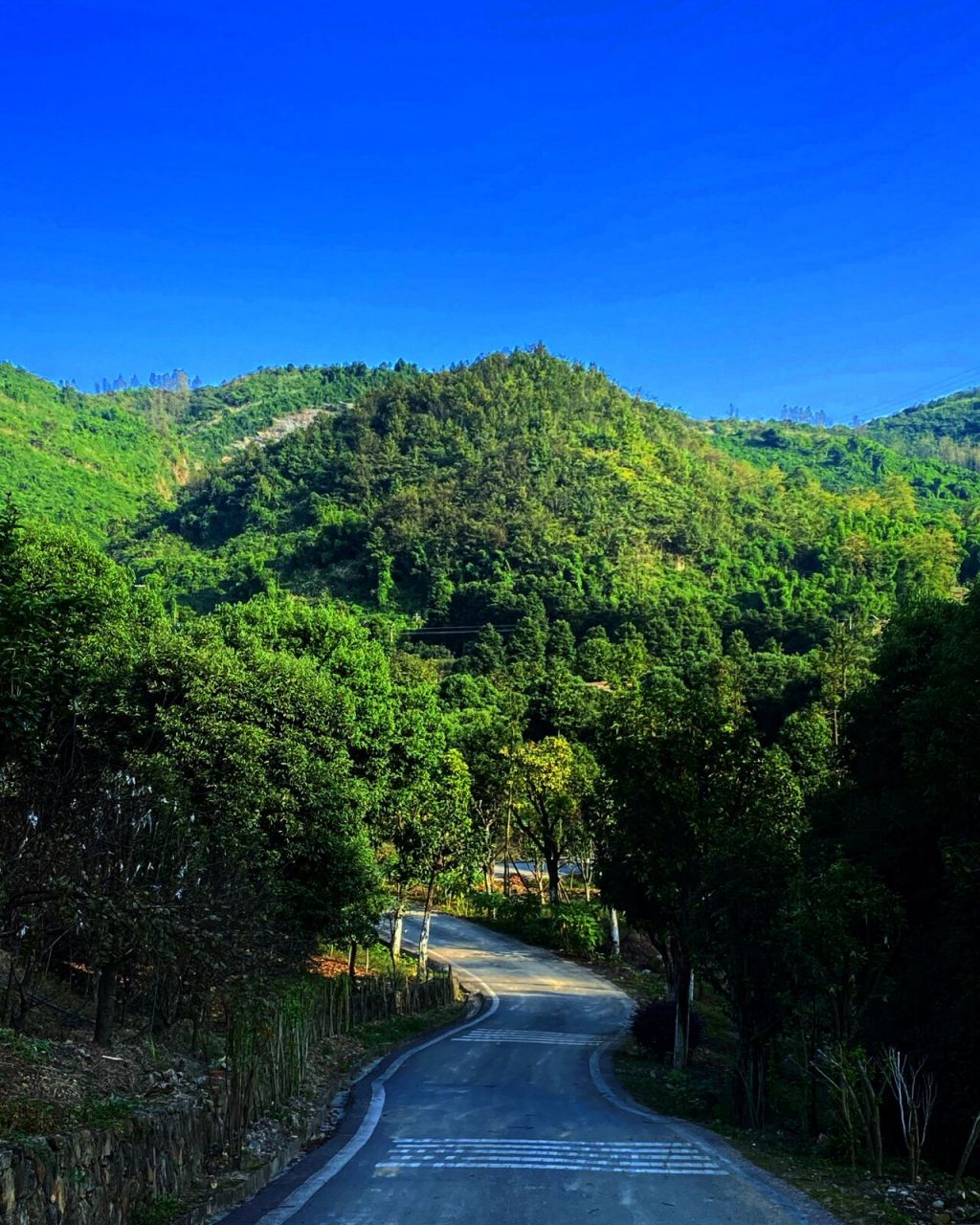 重庆周末出游|去太寺垭森林公园看花吧 99地址:沙坪坝区中梁镇太寺
