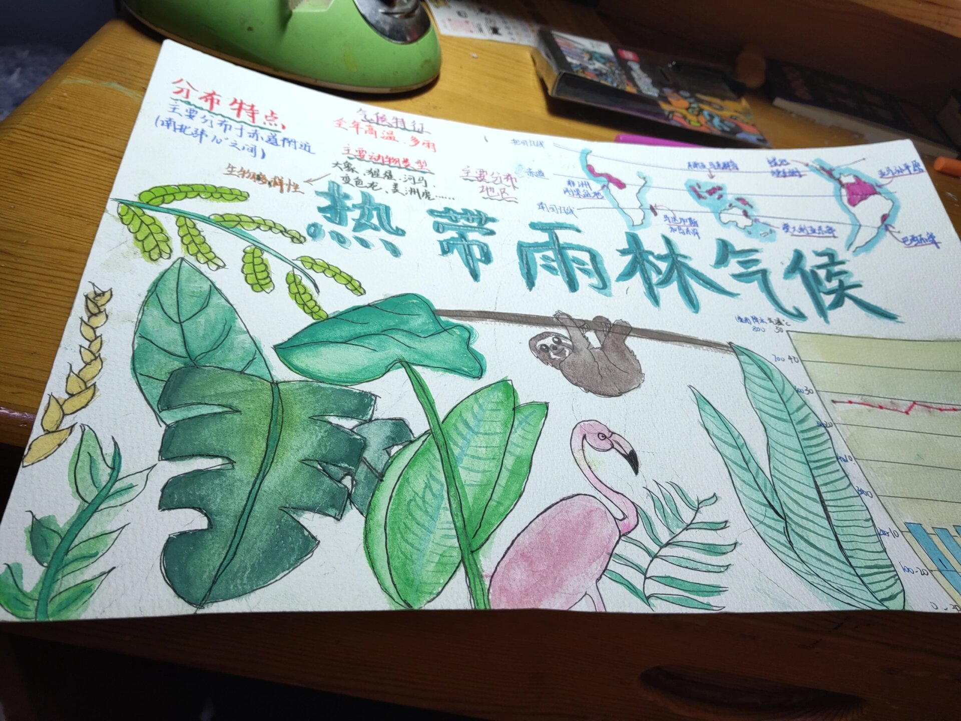 七上热带雨林气候手抄报 #手抄报# #初中地理还sing