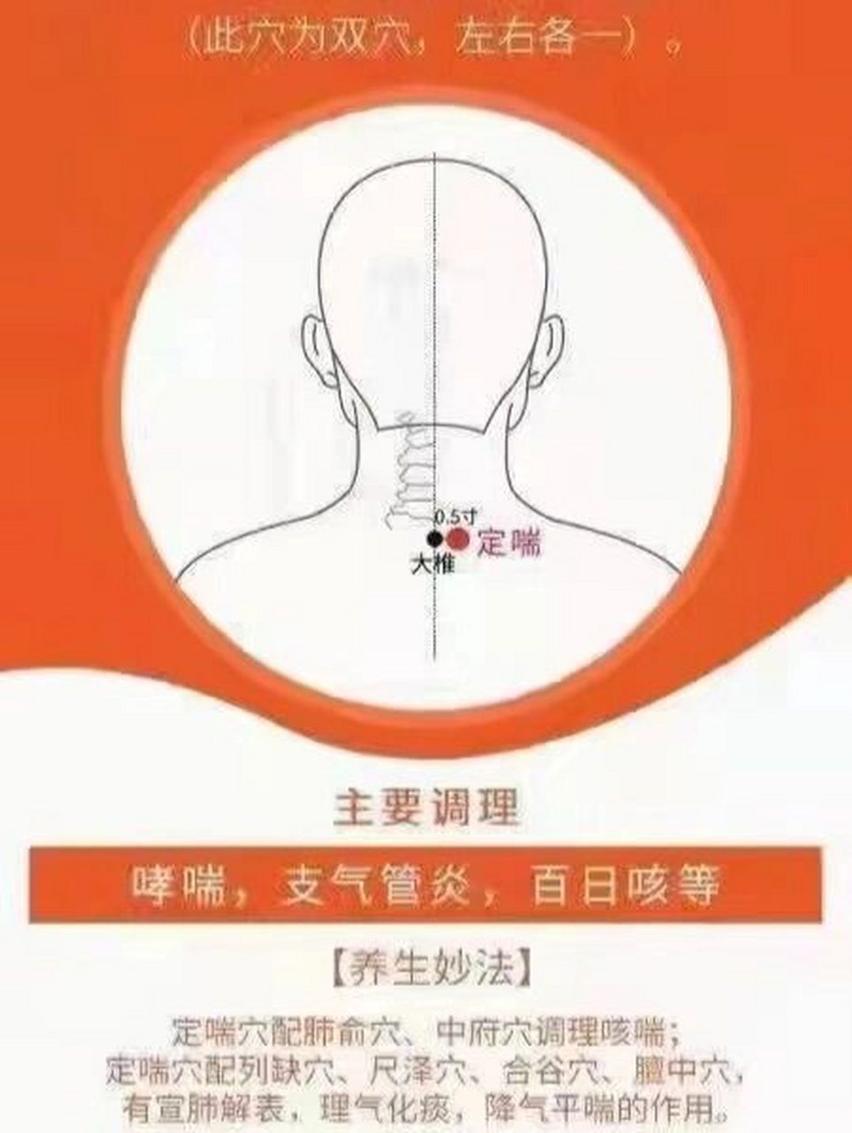 7615穴位养生97 定喘穴 94【取穴位置】 99 定喘穴在大椎旁