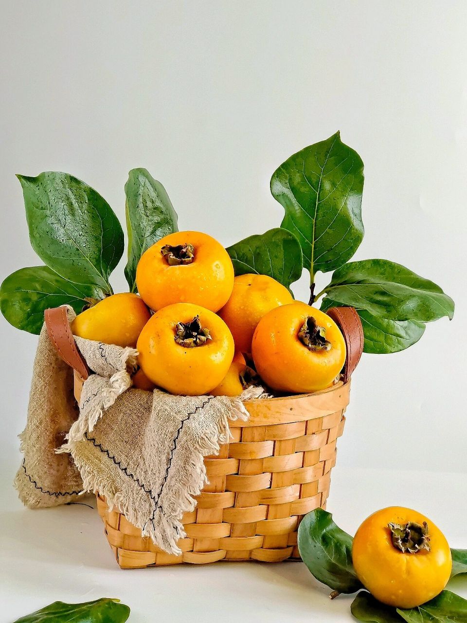 1000集美术生静物素材合集分享 | 柿子