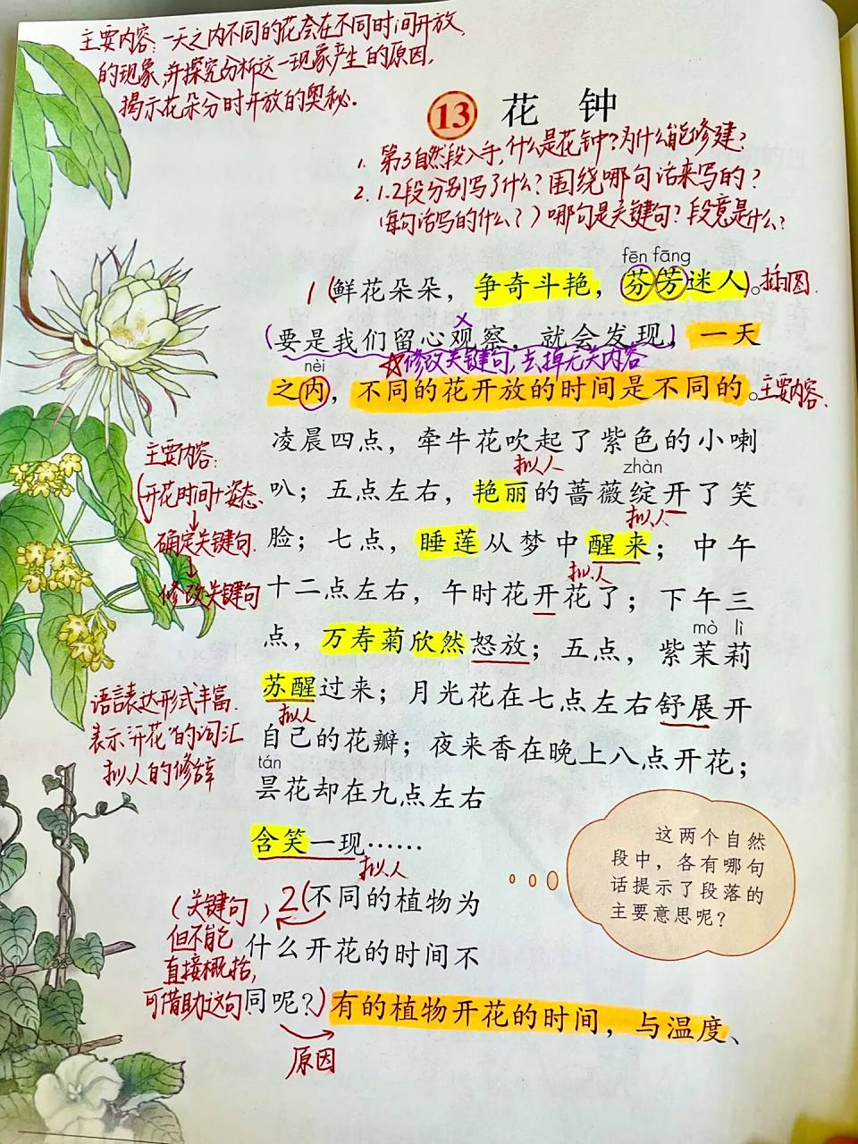 三下语文13课花钟 备课批注预习笔记