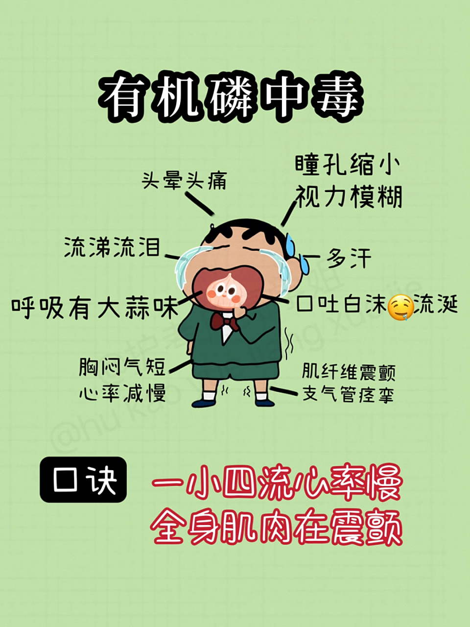 护考口诀有机磷中毒 7815 月亮不睡我不睡 7915口诀: 一小四