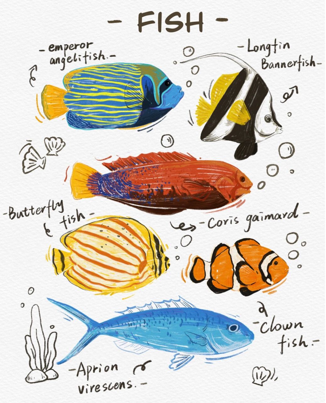 以鱼为主题的系列插画图片
