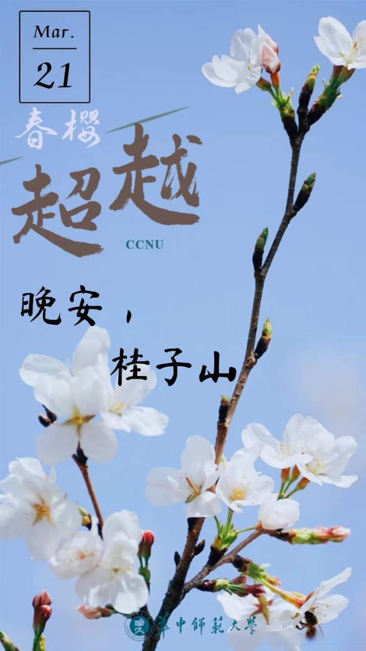 晚安桂子山# 在心裡種花 人生才不會荒蕪 晚安,山民們!