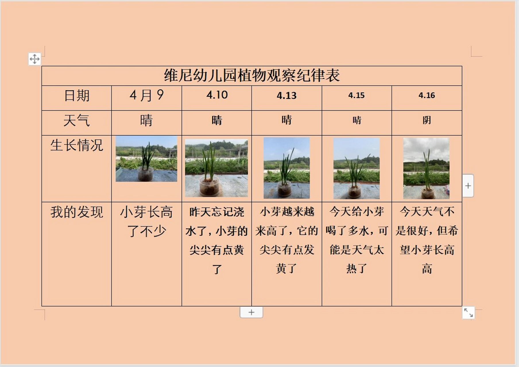 大班植物角观察记录表图片