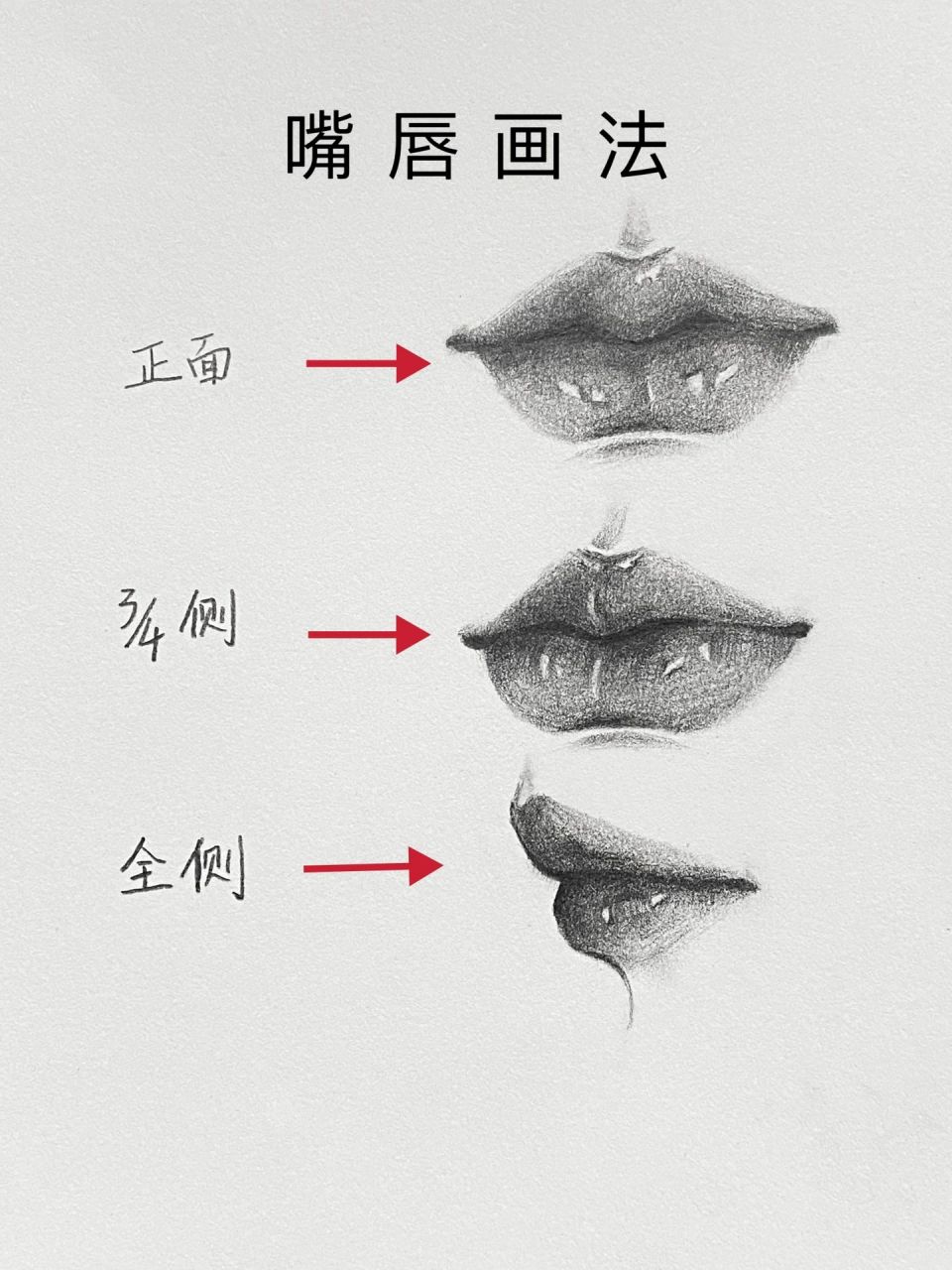 关于唇的讲解和画法图片