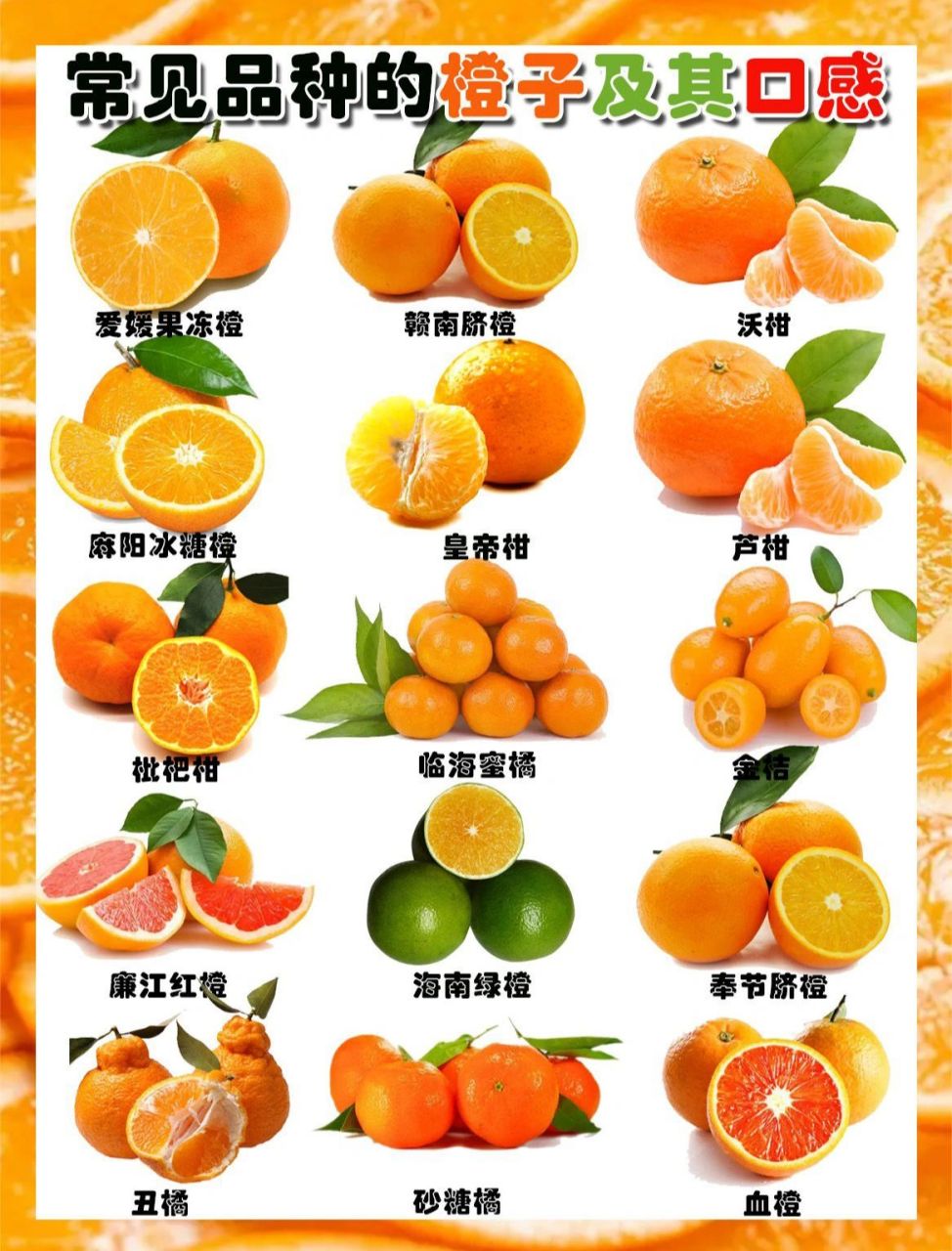 柑果的种类图片