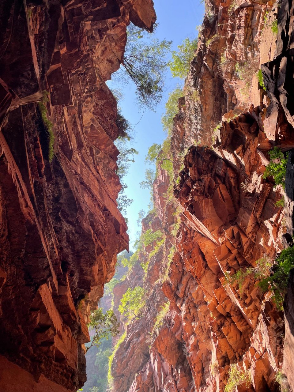 每周逃离城市‖楚雄永仁龙虎峡 山爬了,草地走了,峡谷怎么能不去领略