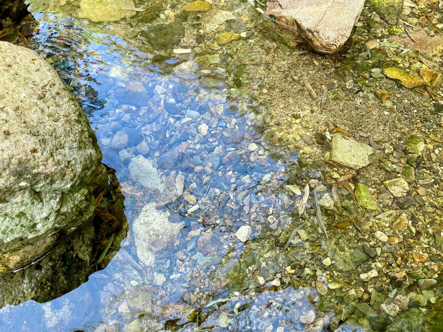 7215衢州九華山(靈鷲寺)徒步攻略 風吹又日曬,自由又自在.