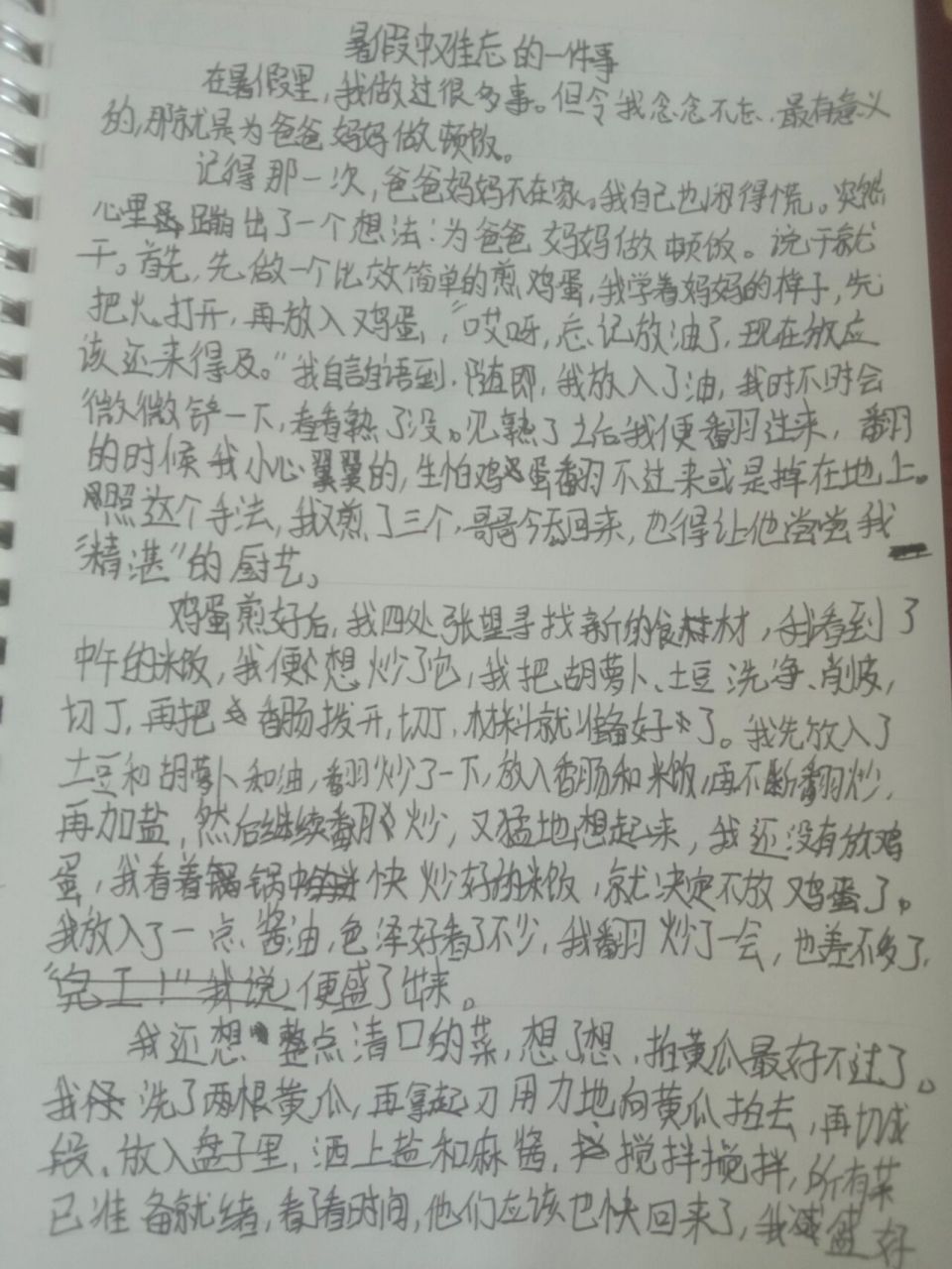 暑假中难忘的一件事作文推荐,自写原创