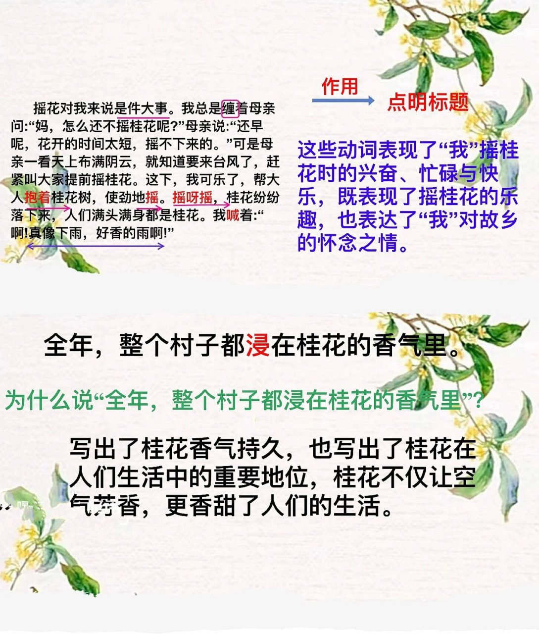 桂花雨创意板书图片