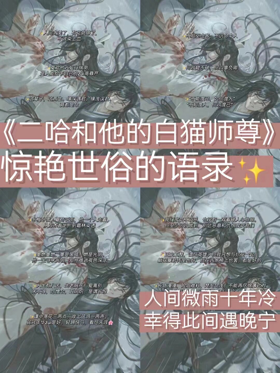 《二哈和他的白猫师尊》墨燃楚晚宁