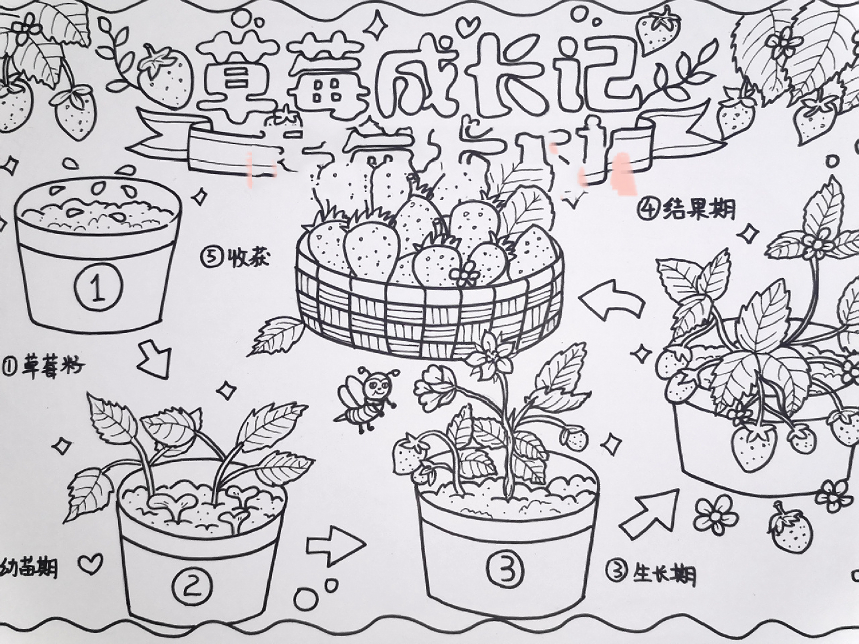 原创《自然笔记—草莓生长记》主题画 94可参考,9215代画商用