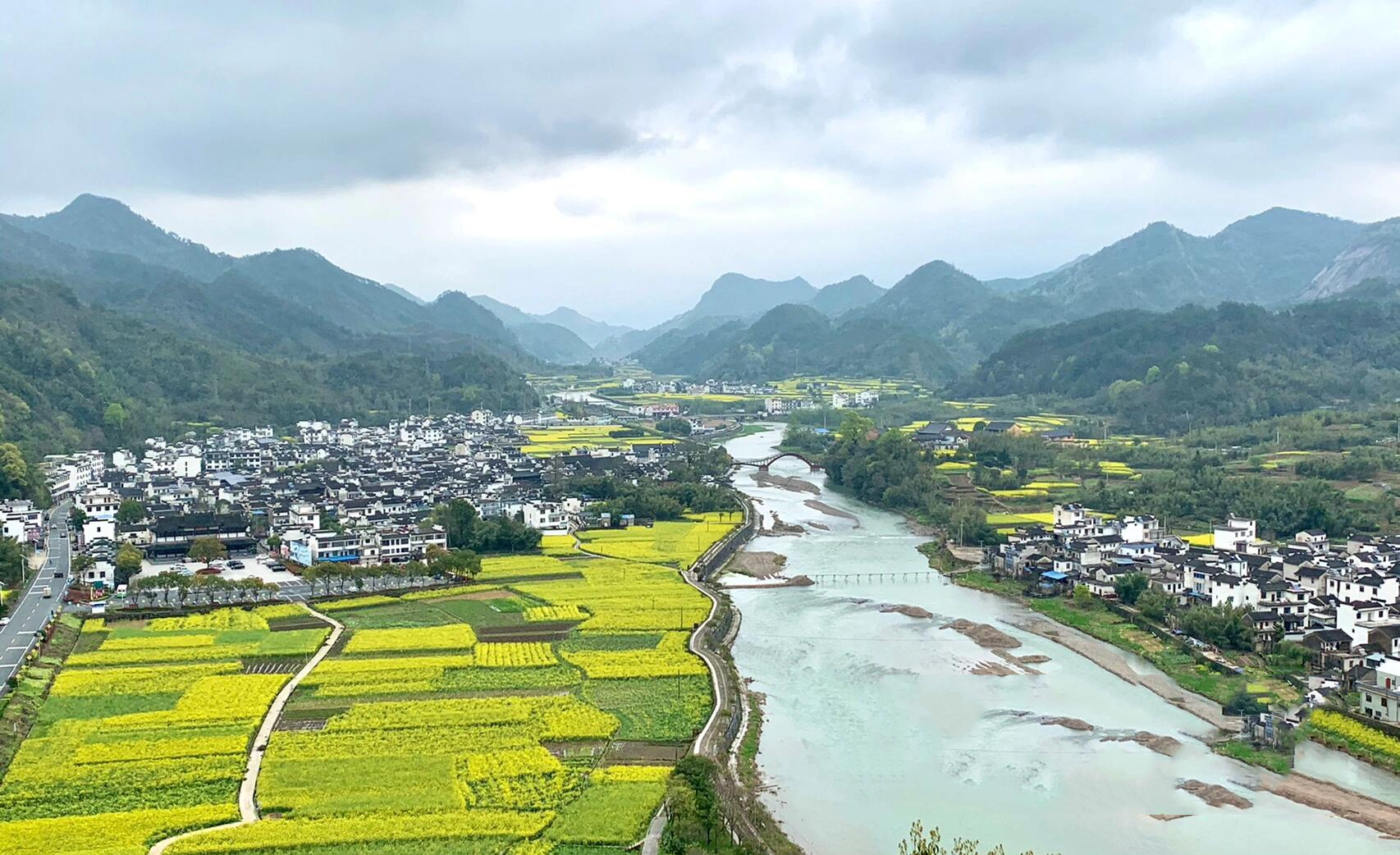 徽州油菜花图片