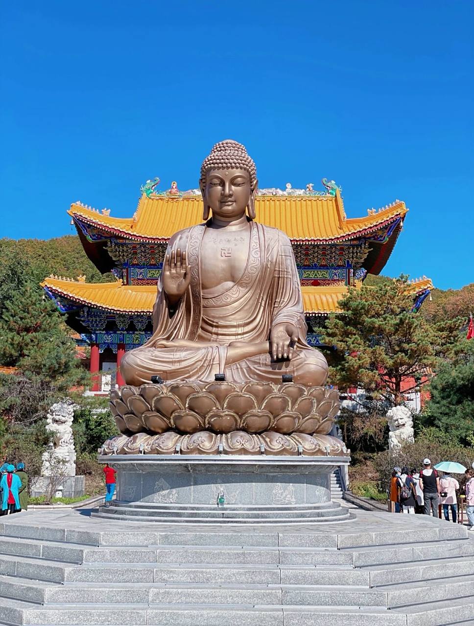 敦化|世界之最|金鼎大佛|这篇攻略就够啦 99门票价格:100元 07