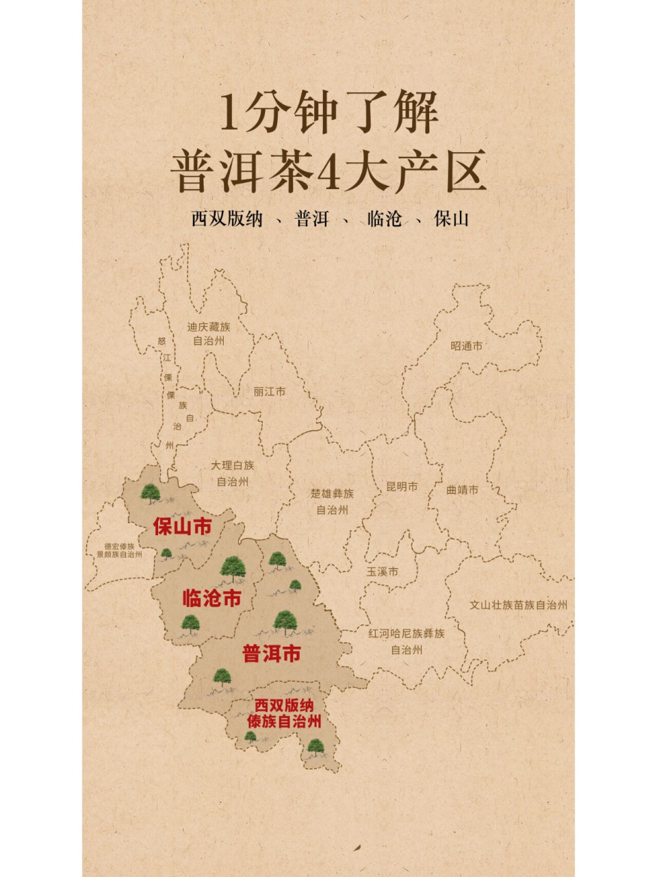 一分钟带你了解普洱茶的四大产区