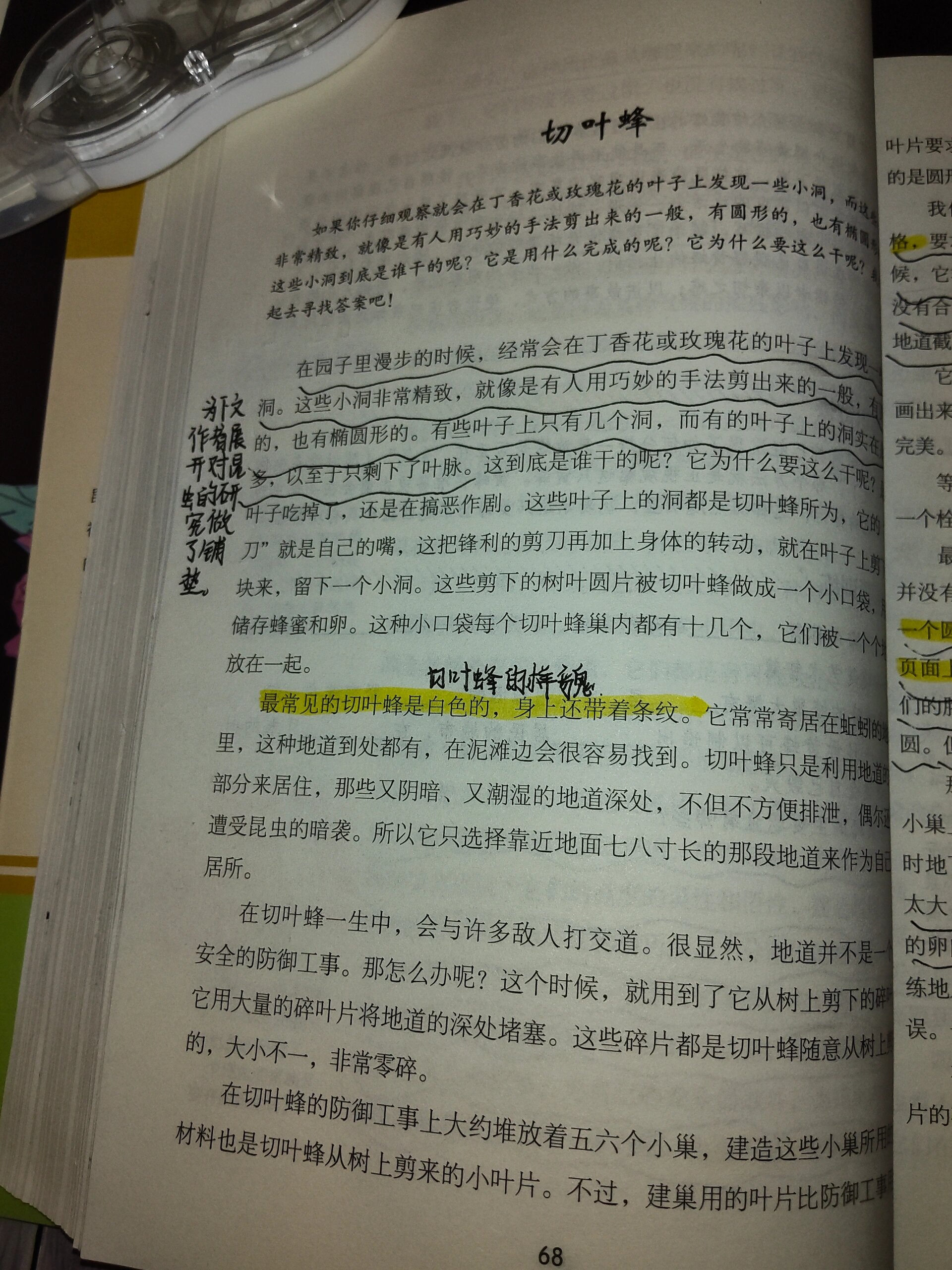 《昆虫记》第6章 切叶蜂