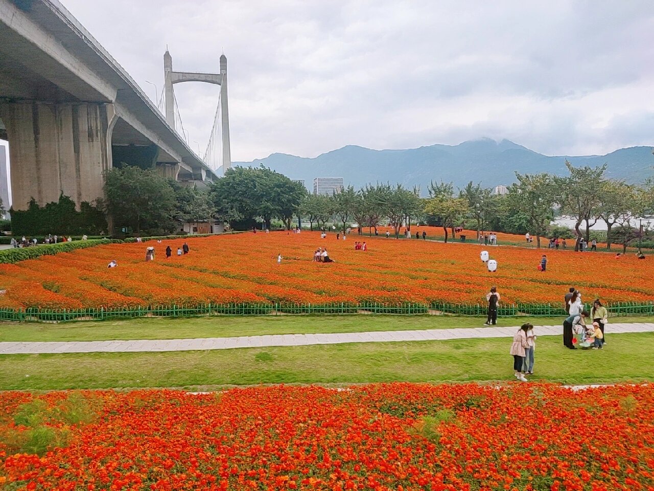 福州花海公园图片