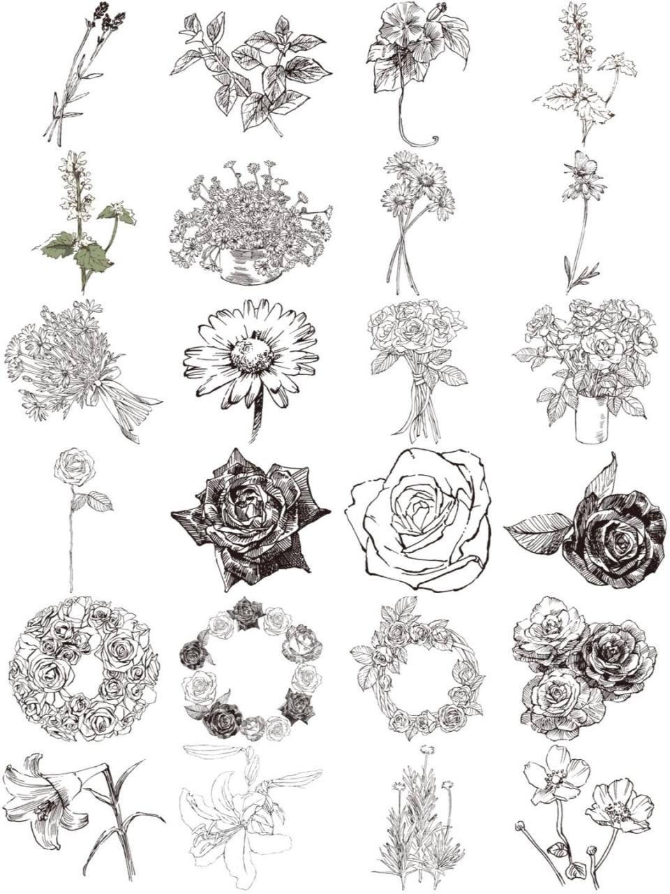 素描简笔画黑白手绘花草花卉植物速写手稿ai矢量图案png素材合集 黑白