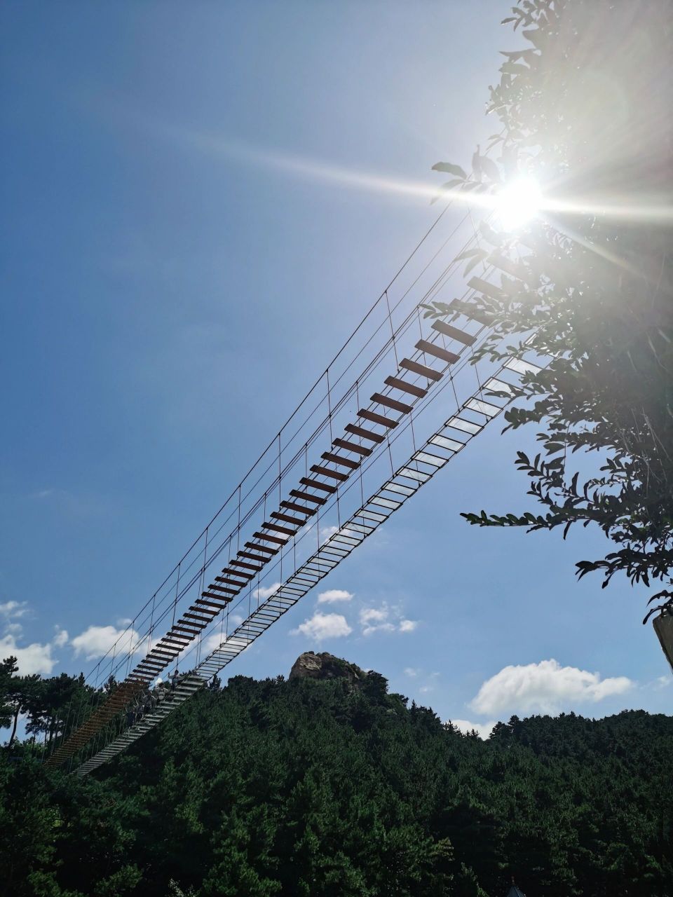 北镇大芦花景区 北镇大芦花景区,我们买的套票89.9一个人.