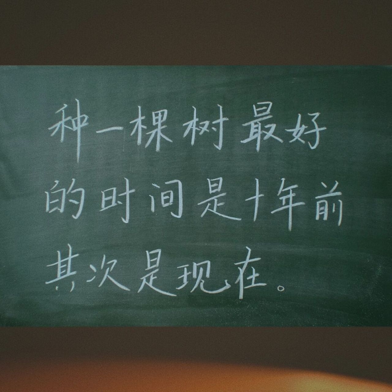 78种一棵树最好的时间是十年前,其次是现在 或许我们会懊恼,会遗憾