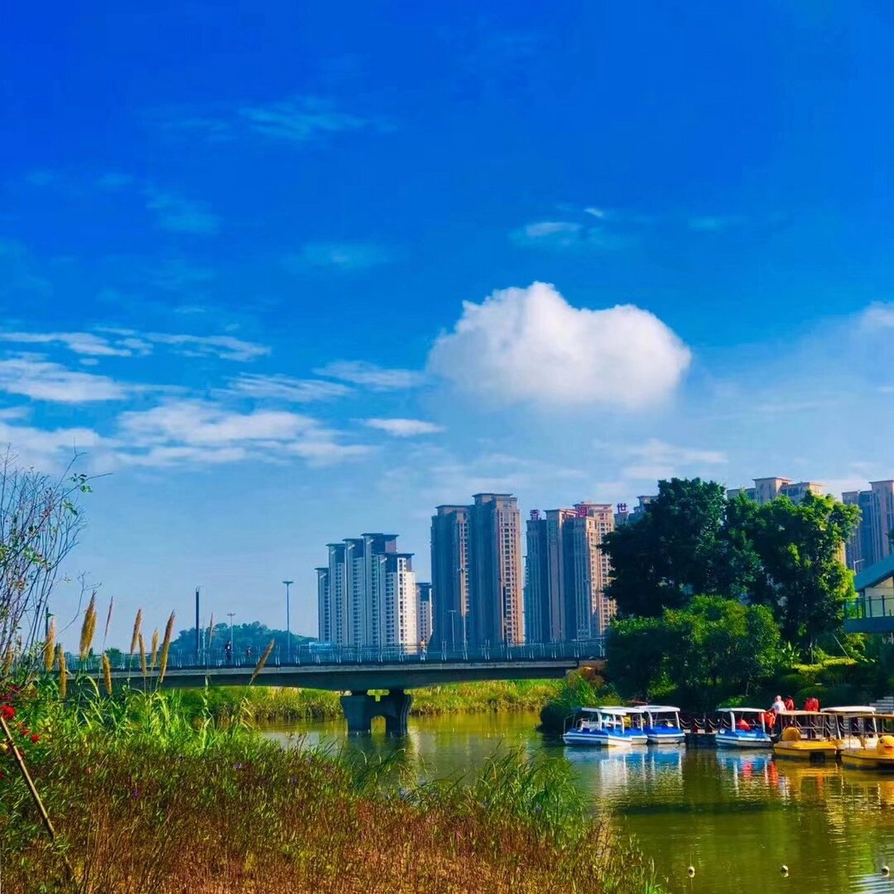 琅岐花海公园图片