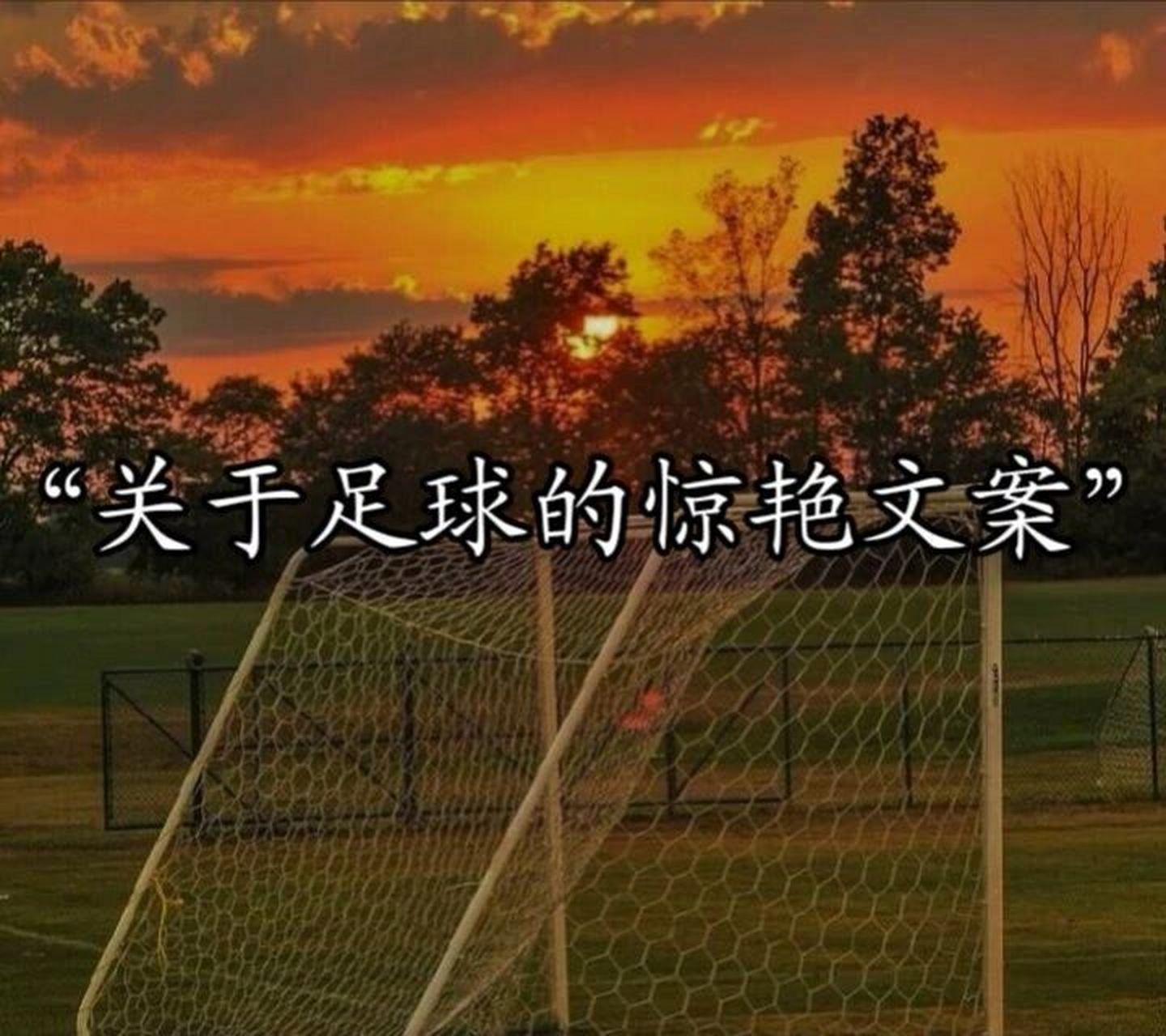 足球文案来啦7115 #热爱足球