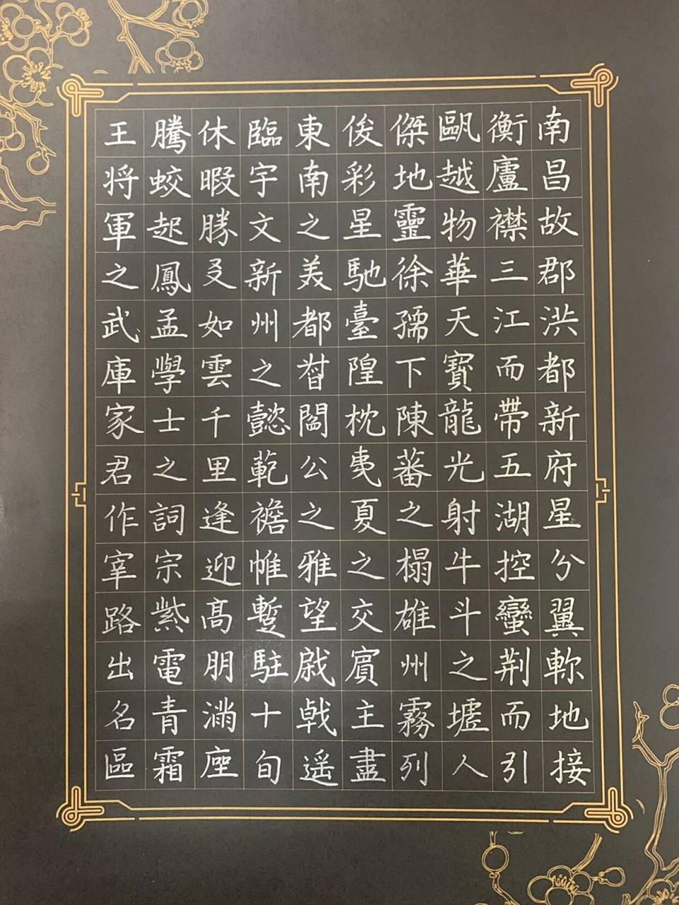 楷书硬笔书法作品欣赏| 滕王阁序 | 手写 99 四月与花,五月与你.