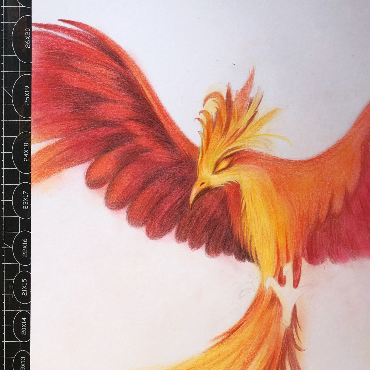 彩铅画 | 浴火重生 火凤凰 《凤凰涅槃》中说:"凤凰每500年自焚为灰烬